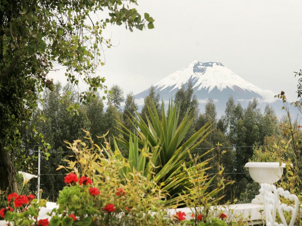 La Quinta Colorada Hotel Lasso Ngoại thất bức ảnh