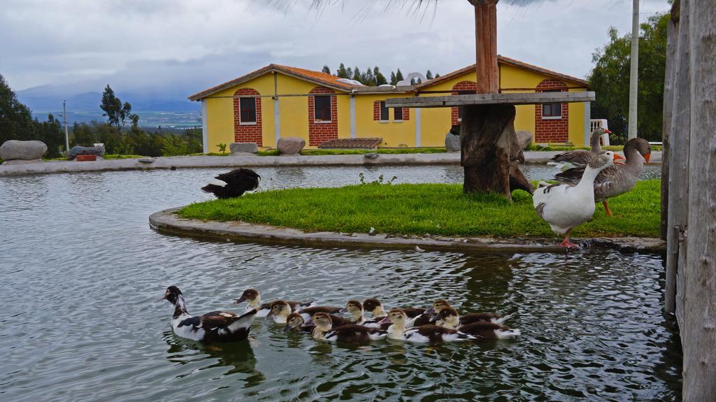 La Quinta Colorada Hotel Lasso Ngoại thất bức ảnh